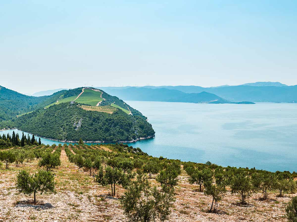 Degustazione di vini