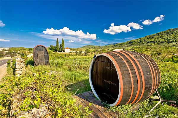 wine-tasting-hvar.jpg