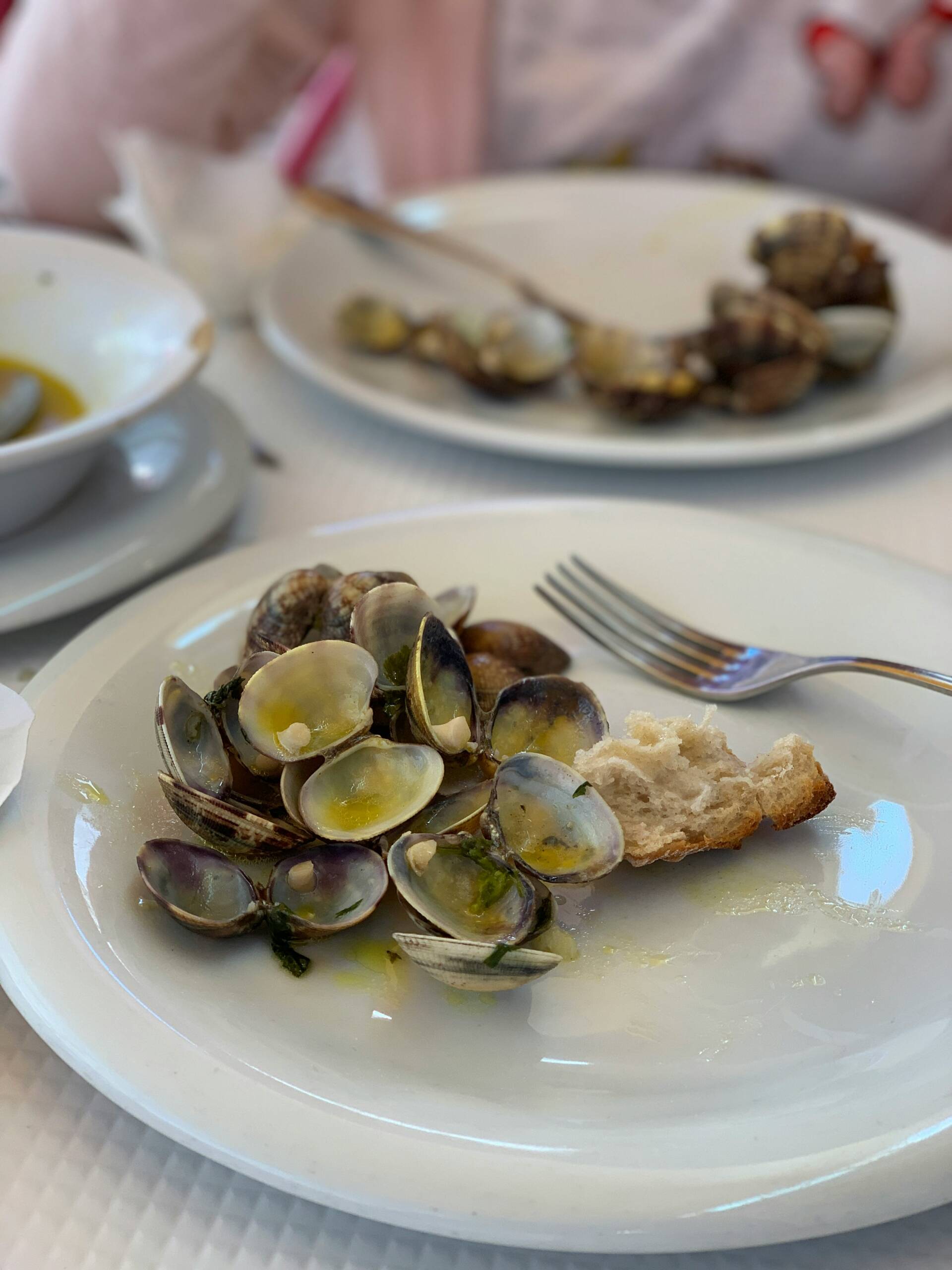 shellfish-Croatia