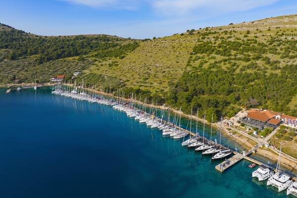 aci-marina-žut