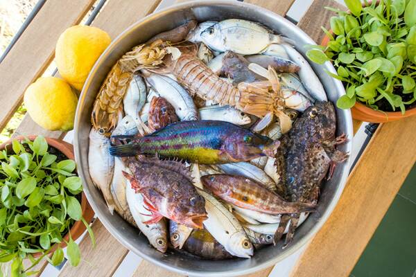 zuppa-di-pesce