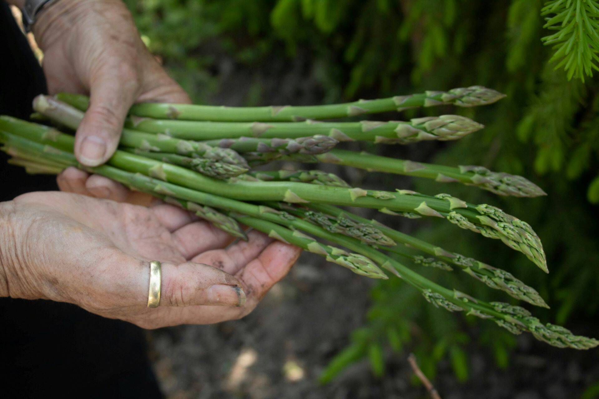 Food becomes geographical story on a plate