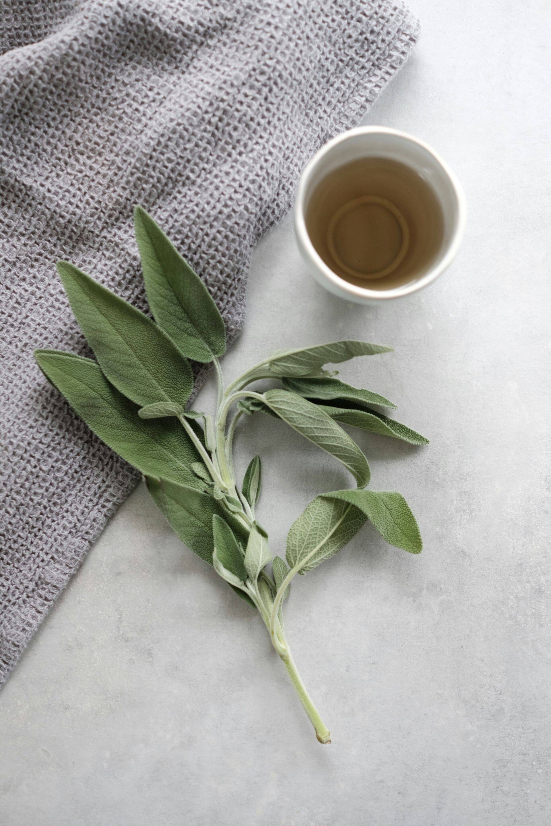 Sage - the symbol of Dalmatia