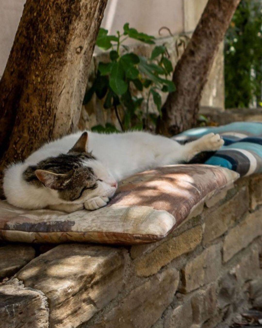 Fjaka - sweetness of doing nothing