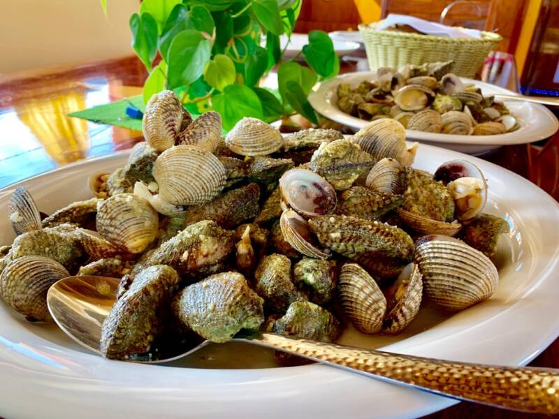 Adriatic Breeze | Adriatic Breeze