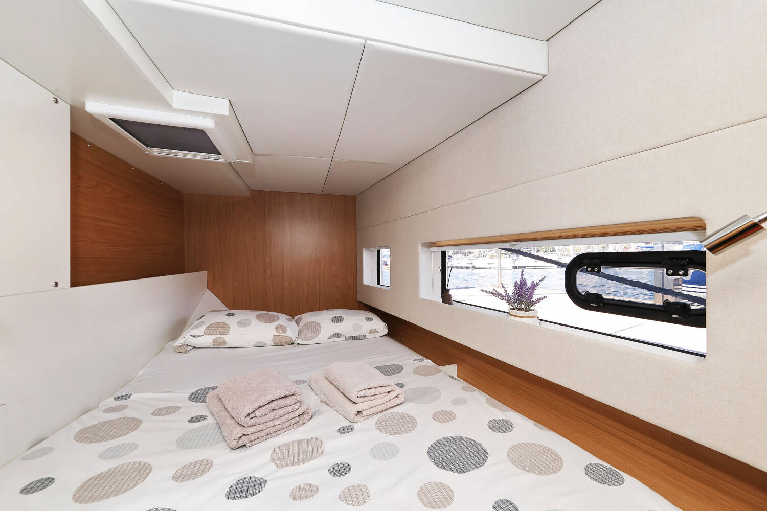 Bali Catsmart | Arpina