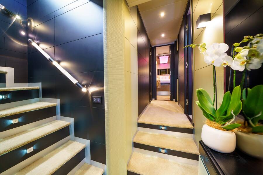 Dominator 780S Deluxe | Dalia