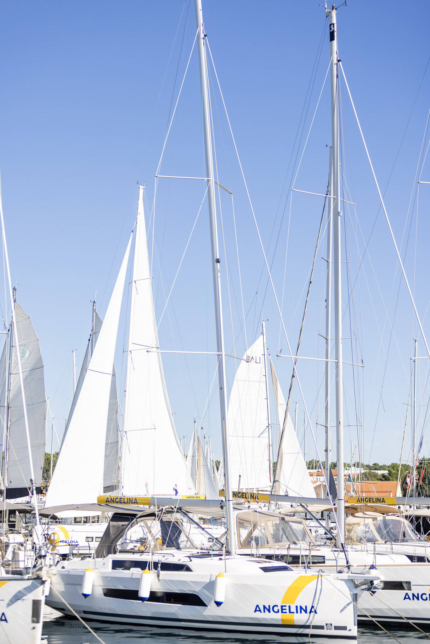 Dufour 37  | Nessie