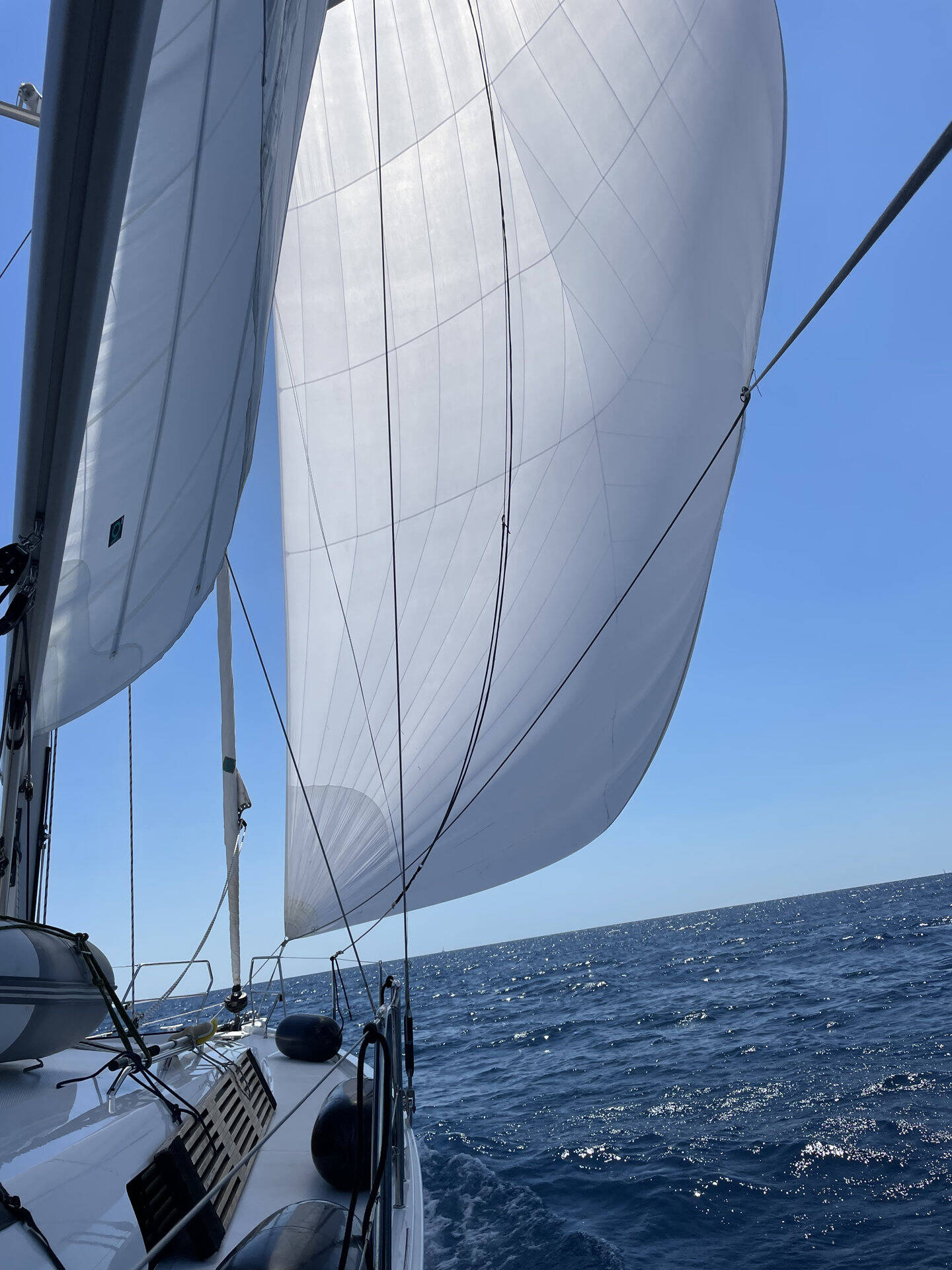 Hanse 460  | freebe