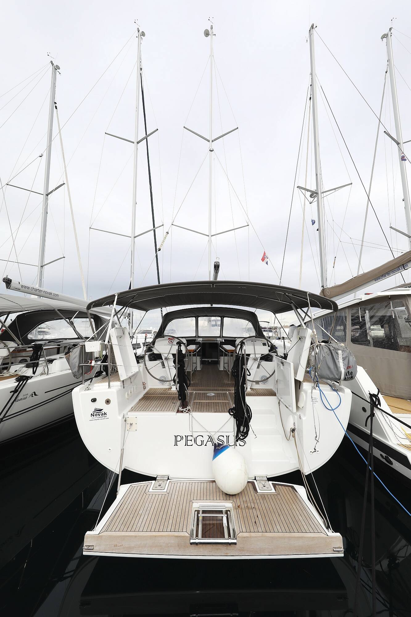 Hanse 508  | Pegasus
