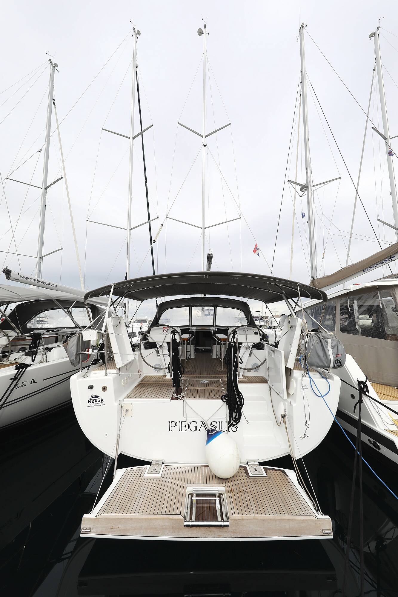 Hanse 508  | Pegasus 