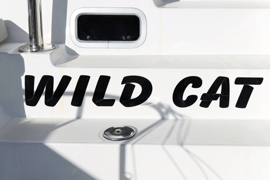 Lagoon 40  | Wild Cat