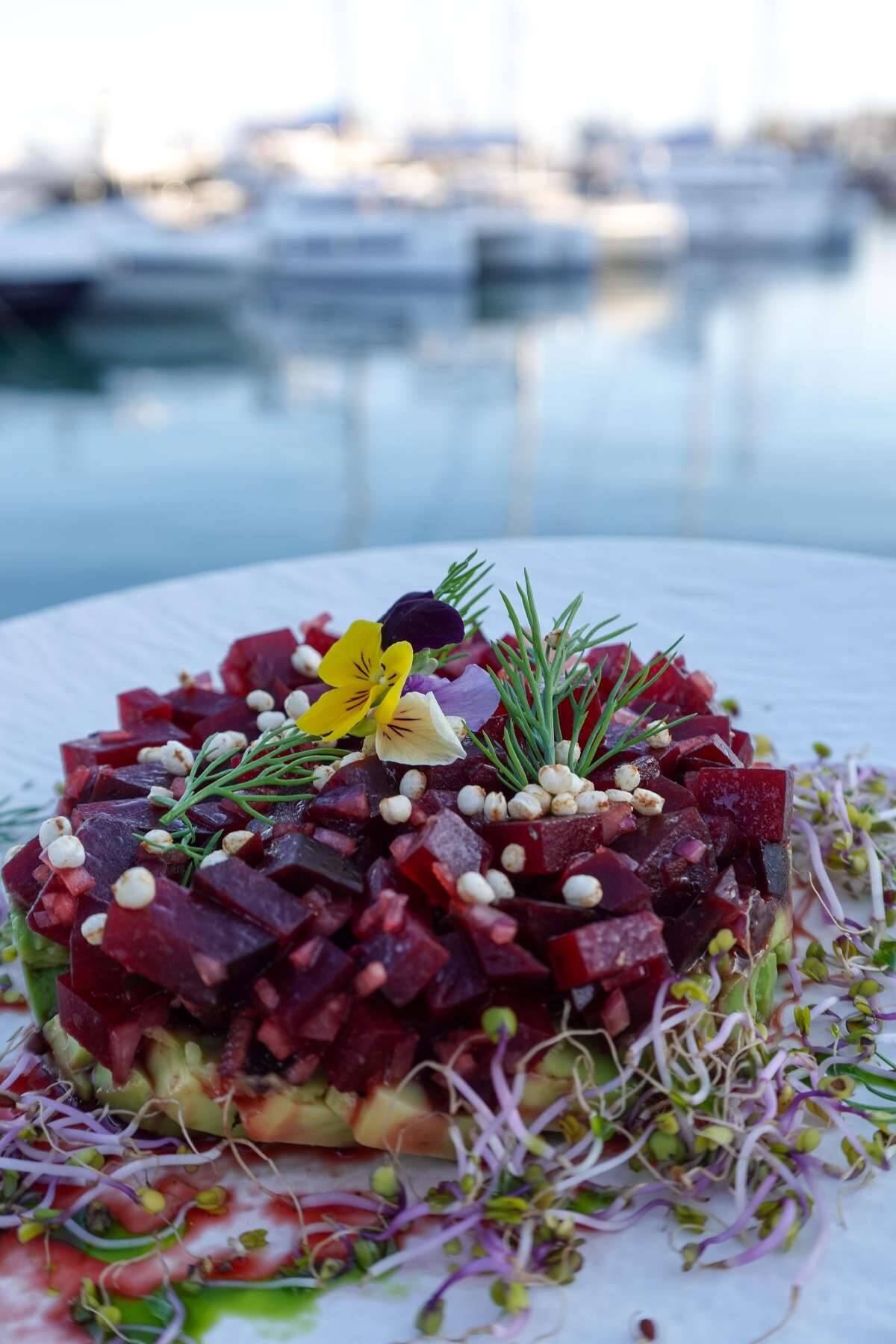 Lagoon Sixty 5 | TriWing Endor