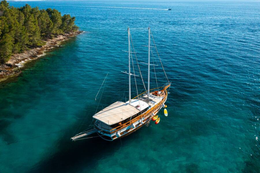 M/S Allure  | Allure