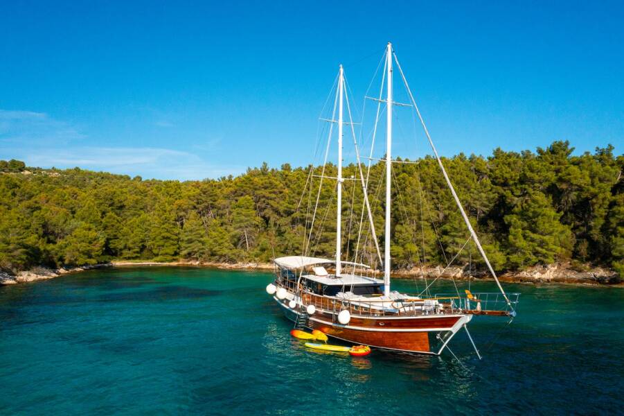 M/S Allure  | Allure