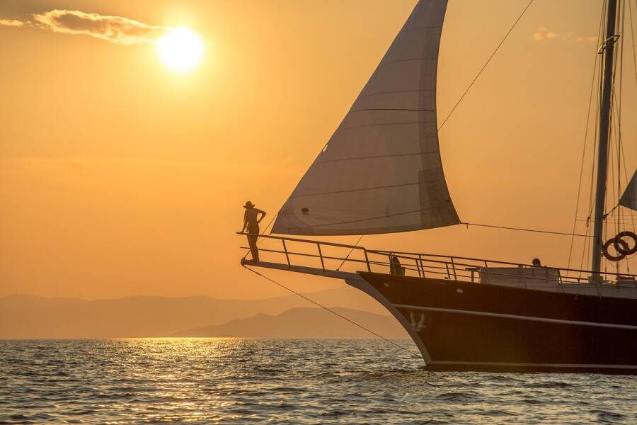 M/S Altair  | Altair