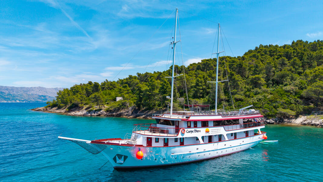 M/S Carpe Diem | Carpe Diem