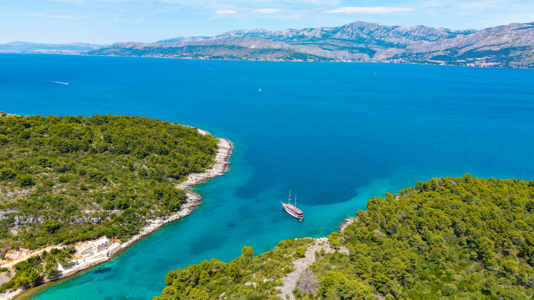 M/S Carpe Diem | Carpe Diem