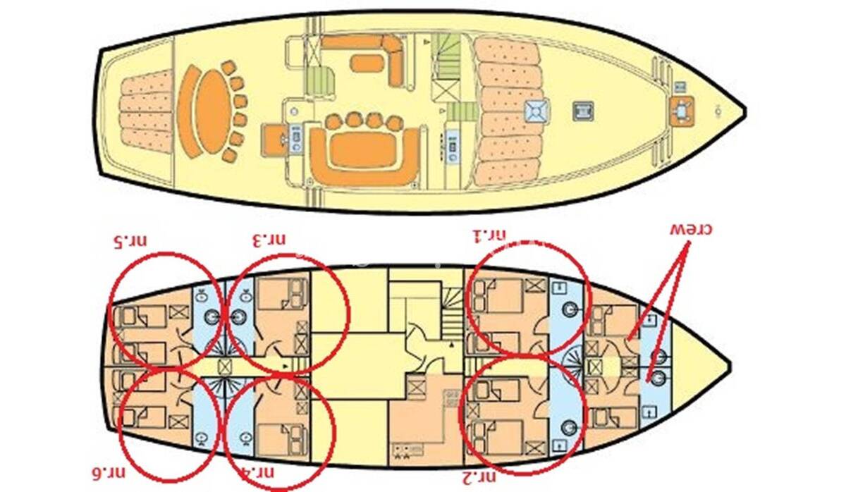 M/S Morning Star  | Morning Star