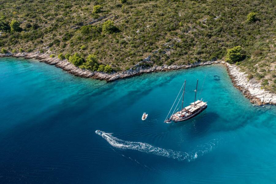 Pacha  | Pacha