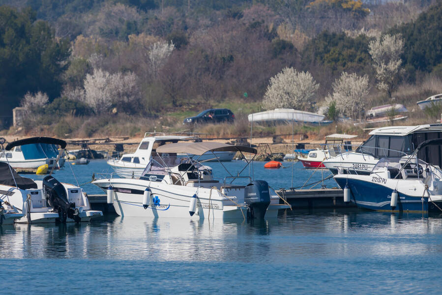 Pacific Craft 750 Sun Cruiser  | No Name