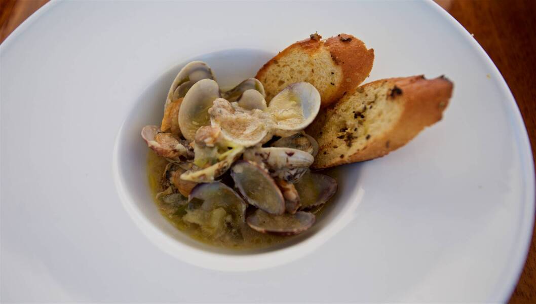 Queen of Adriatic | Queen of Adriatic