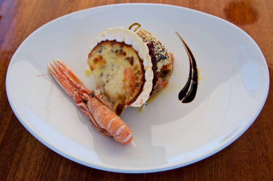 Queen of Adriatic | Queen of Adriatic