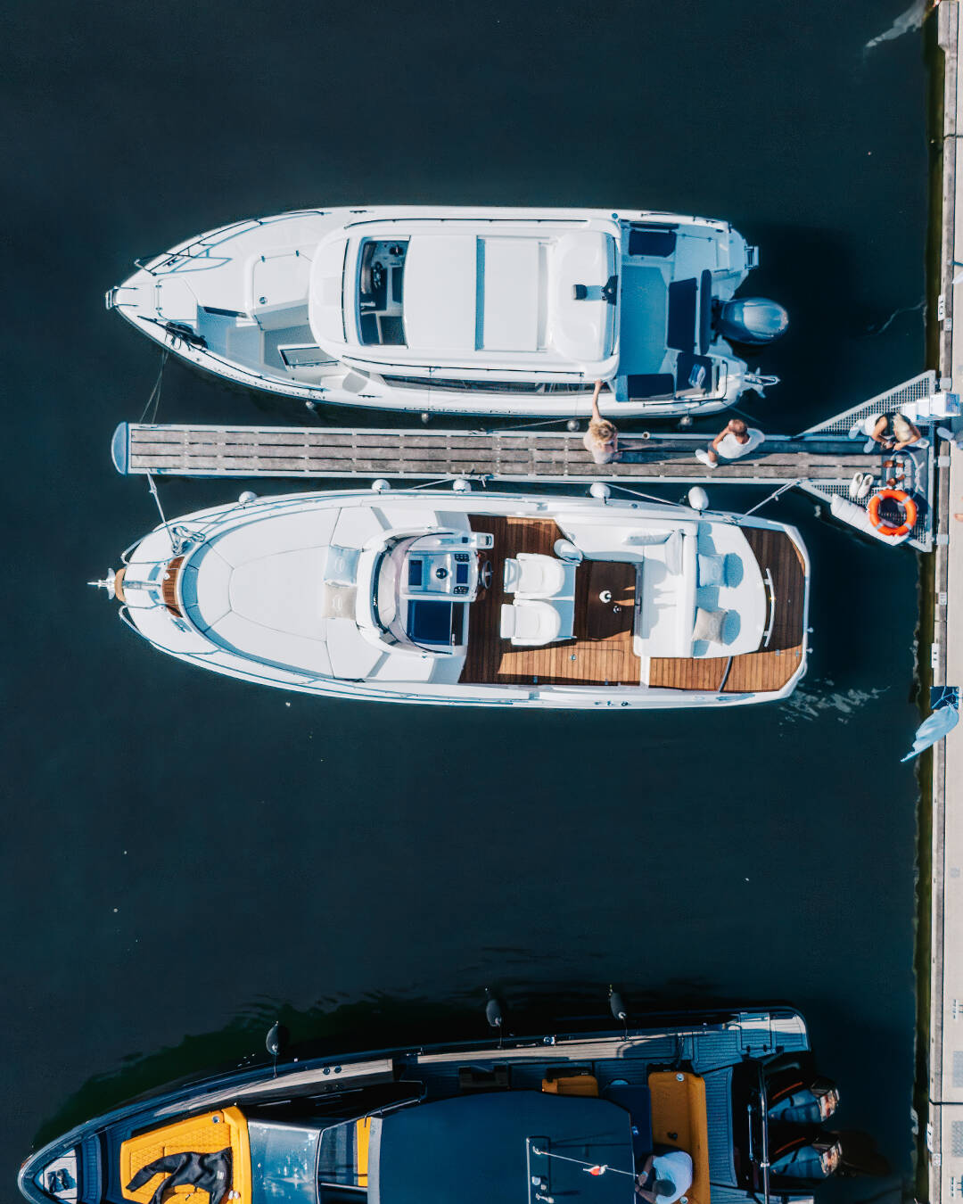 Sessa Key Largo 27 | Capricorn